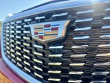 Used 2020 Cadillac XT5 Premium Luxury image 3