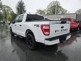 Used 2022 Ford F150 XL w/ STX Black Appearance Package image 6