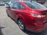Used 2014 Ford Focus SE w/ SE Sport Package image 3
