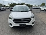 Used 2017 Ford Escape SE w/ SE Sport Appearance Package image 2