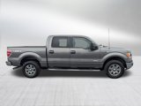 Used 2012 Ford F150 XLT w/ XLT Chrome Pkg image 6