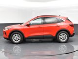 New 2024 Ford Escape Active w/ Tech Pack #2 image 4