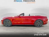 Used 2018 Ford Mustang Premium w/ Equipment Group 201A image 2