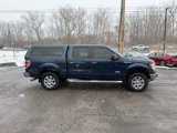Used 2013 Ford F150 XLT w/ Luxury Equipment Group image 6