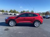 New 2025 Ford Escape Active w/ Tech Pack #1 image 4