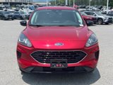 Certified 2022 Ford Escape SE w/ SE Sport Appearance Package image 5