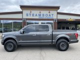 Used 2016 Ford F150 Platinum w/ Equipment Group 701A Luxury image 2