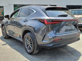 Used 2023 Lexus NX 250 FWD w/ Premium Package image 4