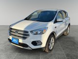 Used 2019 Ford Escape SE image 3