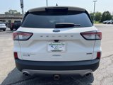 Used 2021 Ford Escape Titanium image 6