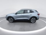 Used 2023 Ford Escape Platinum image 5