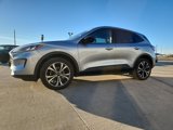 Used 2022 Ford Escape SE w/ SE Sport Appearance Package image 3