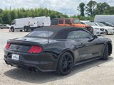 Used 2020 Ford Mustang Convertible w/ Equipment Group 101A image 3