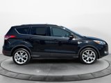 Used 2014 Ford Escape Titanium w/ Equipment Group 401A image 2