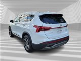 Used 2023 Hyundai Santa Fe SEL w/ Cargo Package image 3