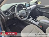Used 2022 Ford Escape SE w/ SE Sport Appearance Package image 4