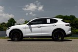Used 2024 Alfa Romeo Stelvio Veloce image 6