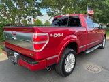 Used 2010 Ford F150 Platinum image 3