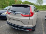 Used 2019 Honda CR-V EX image 5