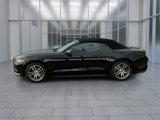 Used 2016 Ford Mustang Premium image 5