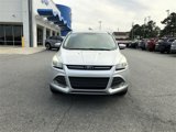 Used 2014 Ford Escape SE image 3