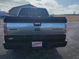 Used 2013 Ford F150 Platinum image 6
