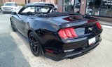 Used 2019 Ford Mustang Premium image 2