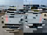 New 2025 Ford F150 STX image 4