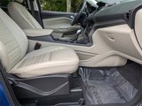 Used 2019 Ford Escape SEL image 4