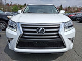 Used 2019 Lexus GX 460 Premium image 2