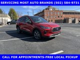 New 2025 Ford Escape ST-Line w/ Tech Pack #1 image 4