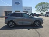 Used 2023 Ford Escape ST-Line w/ Tech Pack #1 image 5