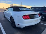 Used 2019 Ford Mustang Premium image 5