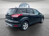 Used 2014 Ford Escape SE image 3