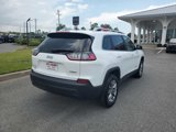 Used 2020 Jeep Cherokee Latitude Plus image 6