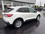 Used 2022 Ford Escape SE w/ Convenience Package image 3