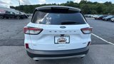 Used 2020 Ford Escape SE Sport image 4