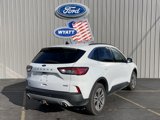 Used 2020 Ford Escape SEL image 5