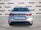 Used 2025 Toyota Corolla LE image 4