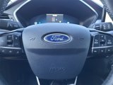 Used 2023 Ford Escape SE w/ PHEV Premium Package image 6