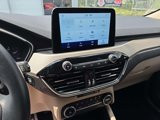 Used 2020 Ford Escape SE image 4