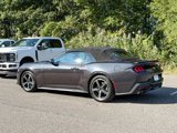Certified 2024 Ford Mustang Premium image 2
