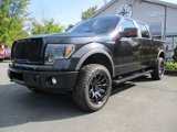Used 2013 Ford F150 FX4 w/ Luxury Equipment Group image 2