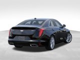 New 2025 Cadillac CT4 Premium Luxury image 5