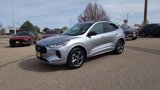 Used 2024 Ford Escape ST-Line image 4