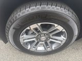 New 2025 GMC Terrain Elevation image 5