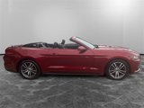 Used 2017 Ford Mustang Premium image 6