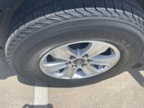 Used 2010 Ford F150 XL image 3