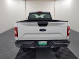 Used 2019 Ford F150 XL w/ Equipment Group 101A Mid image 6