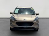 Used 2021 Ford Escape Titanium image 2